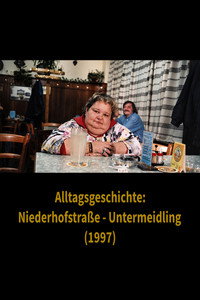 Alltagsgeschichte – Niederhofstraße Untermeidling