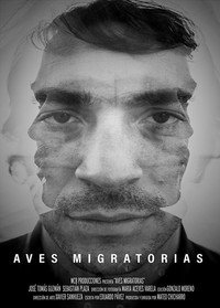 Aves migratorias