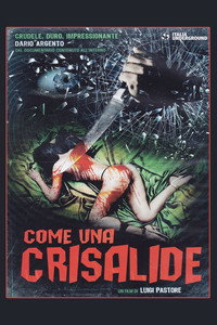 Come Una Crisalide