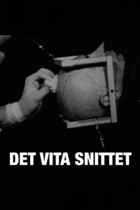Det vita snittet