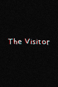 The Visitor