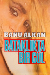 Bataklıkta Bir Gül