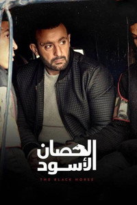 الحصان الأسود