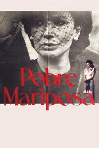 Pobre mariposa