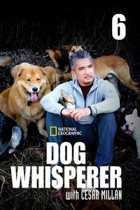 Temporada 6