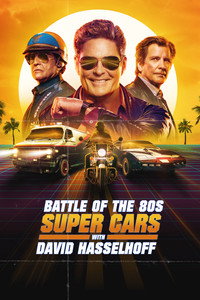 David Hasselhoff - Los coches fantásticos
