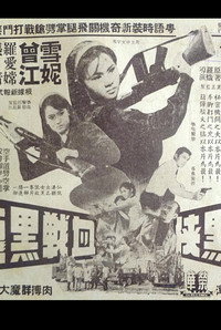 女黑俠血戰黑龍黨