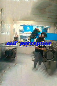 self perception