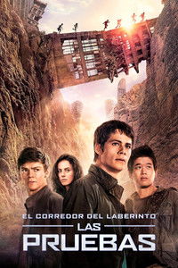 El corredor del laberinto II. Las pruebas