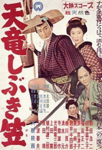 天竜しぶき笠