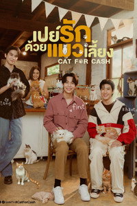 เปย์รักด้วยแมวเลี้ยง