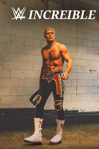 WWE: Increíble
