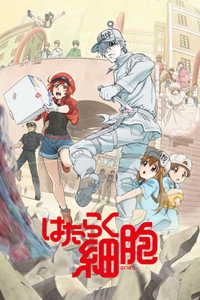 Cells at work!