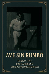 Ave sin rumbo