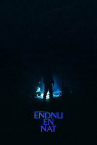 Endnu en nat