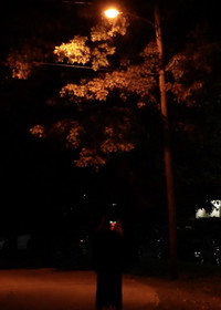 Into The Shadows