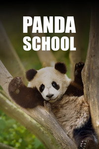 Escuela de pandas