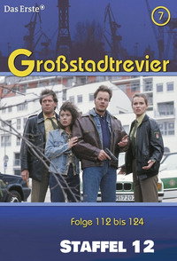 Temporada 12