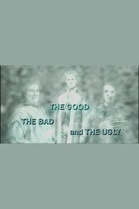The Good, the Bad and the Ugly (documentary)