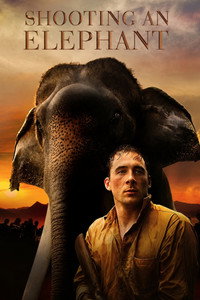 Shooting an Elephant
