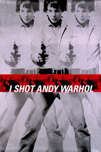 Yo disparé a Andy Warhol