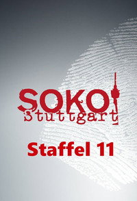 Temporada 11