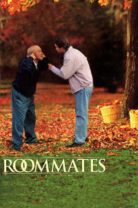 Compañeros de habitación