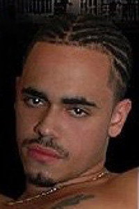 Latin Stallion