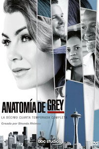Temporada 14