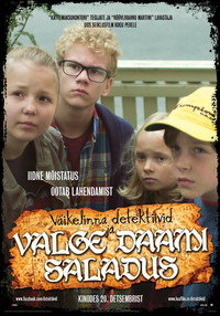 Väikelinna detektiivid ja valge daami saladus
