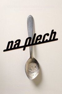 Na plech