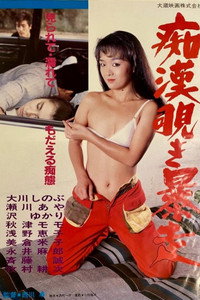 痴漢覗き暴走