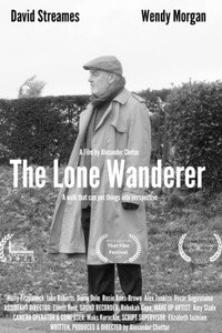 The Lone Wanderer