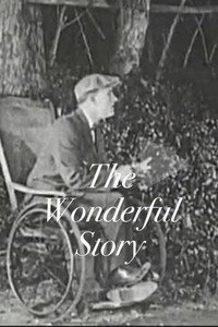 The Wonderful Story