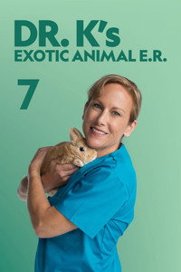 Temporada 7