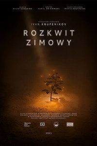 Rozkwit zimowy