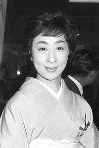 花柳小菊