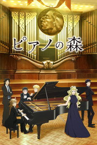 El bosque del piano