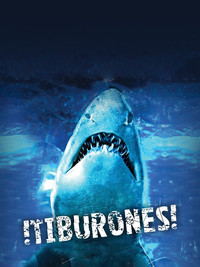 Dam Sharks!