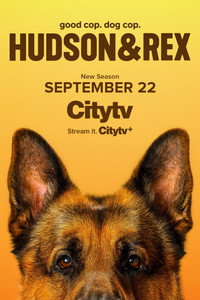 Temporada 8
