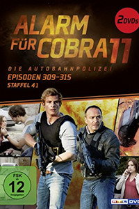Temporada 41