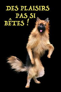 Animales: drogas, sexo y diversión