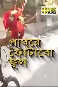 পাথরে ফোটাবো ফুল