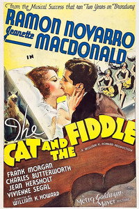 El gato y el violín
