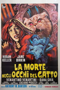 Siete muertos en el ojo del gato