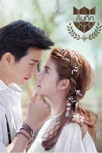 U-PRINCE Series