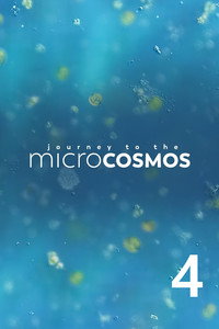 Temporada 4