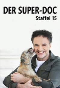 Temporada 15
