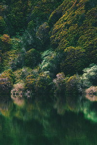 Ela Olhava Sem Nada Ver