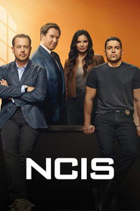 Temporada 24